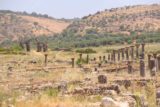 Volubilis_140_05202015 - Volubilis had an extensive series of ruins still standing amongst the weeds