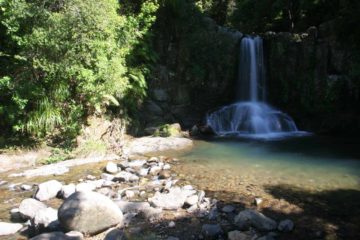 Waiau Falls was a small (maybe 5-10m) but picturesque waterfall with a plunge pool that seemed to attract quite a few people here during our warm, sunny day visit to Whitianga in January...