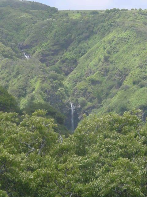 Makamaka'ole Falls as seen from the Waihe'e Ridge Trail
