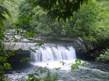 The Aliele Falls is a waterfall that had been altered by people who built a wall over which the falls flow.  Some locals now use it as a swimming hole. You can get here by...