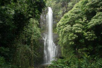 Wailua Falls is a satisfyingly tall roadside waterfall seen as you drive towards Hana along the Hana Highway.  It's one of those falls where you're practically guaranteed to stop for it...