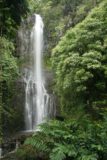 Wailua_Falls_011_02232007 - Another look at Wailua Falls