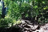 Wailua_Falls_085_11182021 - Continuing up the moderately steep 'benign' part of the Wailua Falls scramble on my way back up to the Ma'alo Road
