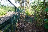 Wailua_Falls_097_11182021 - Following the fencing back to the concrete barricade