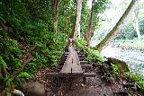 Wailua_River_kayak_070_11202021 - Still more boardwalk to traverse as we were getting closer to Secret Falls or Uluwehi Falls
