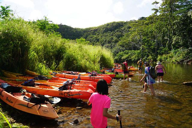 Wailua_River_kayak_170_11202021 - Looking back at the parked kayaks at the start (or end) of the hiking portion of the adventure to Secret (Uluwehi) Falls