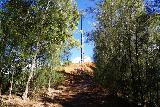 Waimano_Falls_017_11232021 - Approaching one of the power pylons flanking the Manana Ridge Trail