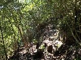 Waimano_Falls_061_iPhone_11232021 - Back at the sketchy steep scramble where I had taken a false detour earlier on the Waimano Falls hike