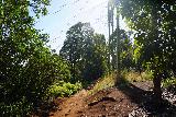 Waimano_Falls_118_11232021 - Hiking back amongst the power pylons along the Manana Ridge Trail on the return