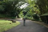 Waimea_Falls_002_01202007 - Julie on the paved walkway through the park