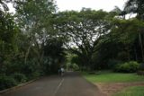 Waimea_Falls_053_01202007 - Wide paved paths made the walking very easy here