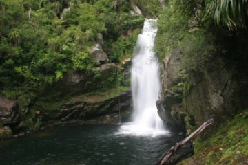 Wainui Falls was perhaps the most accessible waterfall that we were aware of in the Tasman Region.  It was for this reason that we targeted this waterfall for a visit while we were staying...