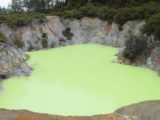 Waiotapu_078_11132004 - A very neon green pool seen along the way to Lady Knox Geyser
