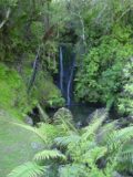 Waiotemarama_Falls_006_11072004 - Small waterfall en route to Waiotemarama Falls