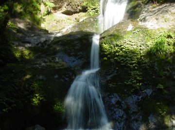 Waiotemarama Falls (meaning 