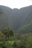 Waipio_stables_074_02232008 - One last look at Hi'ilawe Falls