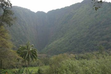 Hiilawe Falls (or Hi'ilawe Falls) was once one of the tallest and mightiest waterfalls in all the islands of Hawai'i.  With a cumulative drop of 1450ft, it's the crown jewel...