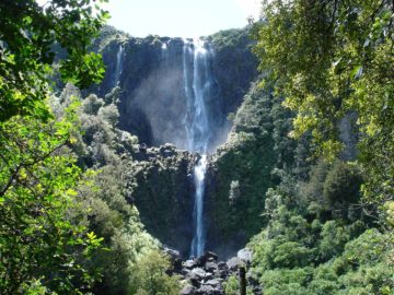 Wairere Falls was probably one of my favourite North Island waterfalls.  The falls made two dramatic leaps that we could see even from the Old Te Aroha Rd several kilometres away.  We were able to...