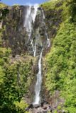 Wairere_Falls_044_01072010