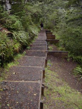 Waitonga_Falls_026_11162004