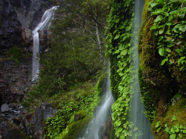 Waitonga_Falls_059_11162004
