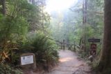 Wallace_Falls_17_027_07292017 - This trail junction was where the trail split into the Railroad Grade on the left and the Woody Trail on the right