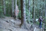 Wallace_Falls_17_050_07292017 - The signed junction at the spur for the Lower Wallace Falls