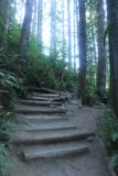 Wallace_Falls_17_058_07292017 - Looking back up at the steps that I had descended en route to the Lower Wallace Falls during my July 2017 hike