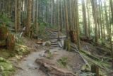 Wallace_Falls_17_119_07292017 - Beyond the top of the Middle Wallace Falls, the trail continued climbing some steps as well as a few more switchbacks during the July 2017 hike