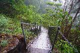 Wallaman_Falls_032_06302022 - Approaching a slippery series of metal steps on the Djyinda Walk to the bottom of Wallaman Falls