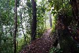 Wallaman_Falls_041_06302022 - Continuing down the steeply descending Djyinda Walk to the bottom of Wallaman Falls