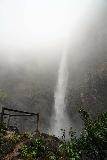 Wallaman_Falls_099_06302022 - Context of the lookout at the end of the Djyinda Walk and the bottom of Wallaman Falls