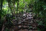 Wallaman_Falls_112_06302022 - Still going up the rock steps on the way back up to the car park of Wallaman Falls