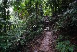 Wallaman_Falls_115_06302022 - Still going up the ascending Djyinda Walk to the car park of Wallaman Falls