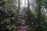 Wallaman_Falls_124_06302022 - Still going up the ascending Djyinda Walk to the car park of Wallaman Falls