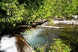 Walupt_Falls_012_06212021 - Looking ahead at a slippery and non-trivial log-jam scramble across the gushing Walupt Creek