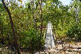 Wangi_Falls_063_06112022 - Looking towards the footbridge spanning Wangi Creek