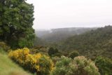 Waratah_Falls_17_013_12012017 - Looking downstream at what appeared to be patches of rain in the distance as seen from the Waratah Falls lookout and gazeebo