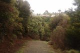 Waratah_Falls_17_038_12012017 - On the descending gravel track going below the town to the base of Waratah Falls on my December 2017 visit