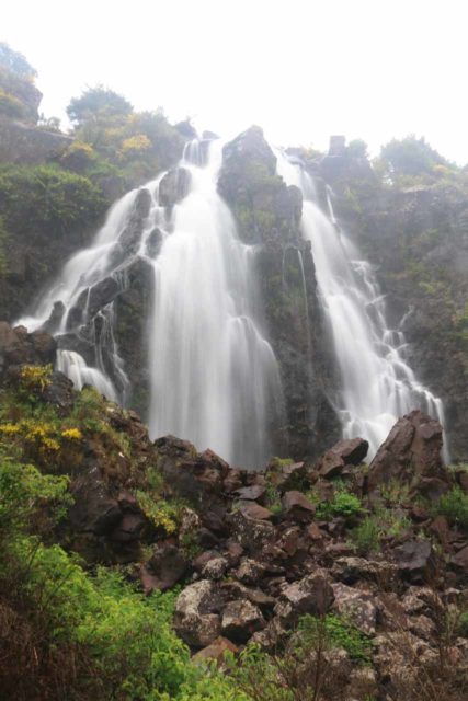 Waratah_Falls_17_056_12012017 - Waratah Falls