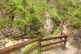 Wasserlochklamm_099_07062018 - Looking back at the trail from the foot of the Schleierfall in the Wasserlochklamm