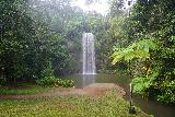Waterfall_Circuit_017_06292022 - This is the view of Millaa Millaa Falls as seen from a lookout platform (I didn't recall it was there last time in May 2008) at the long vehicle car park during our late June 2022 visit
