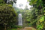 Waterfall_Circuit_050_06292022 - Last look at Millaa Millaa Falls during our rainy visit in late June 2022 visit