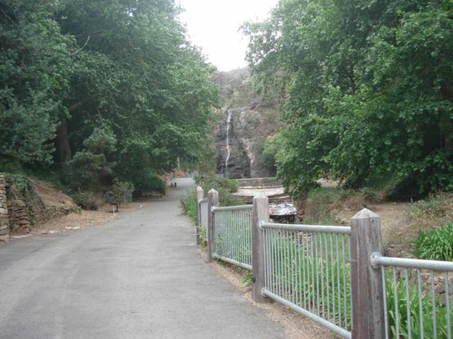 Waterfall_Gully_005_jx_11202006 - The footpath leading up to the First Falls in Waterfall Gully
