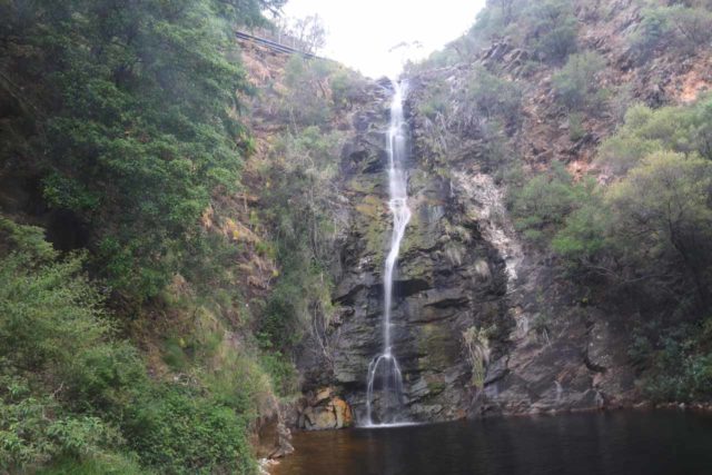 Waterfall_Gully_17_030_11102017 - First Falls in Waterfall Gully