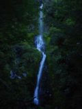 Waterfall_Walk_009_11202004 - Finally approaching the Five Mile Creek Falls