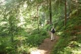 Watson_Falls_094_07142016 - Dad going back through the forested sections of the lower parts of the Watson Falls Trail in July 2016