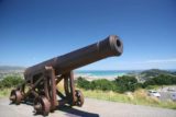 Wellington_014_01032010 - The canon atop Mt Victoria