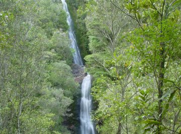Wentworth Falls (also called Wentworth Valley Falls) was one of the taller I happened to encounter while touring the Coromandel area.  It was said to be 50m tall, which was comprised of two angled...
