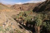 West_Fork_Falls_038_02112017 - Looking down Palm Canyon towards its mouth